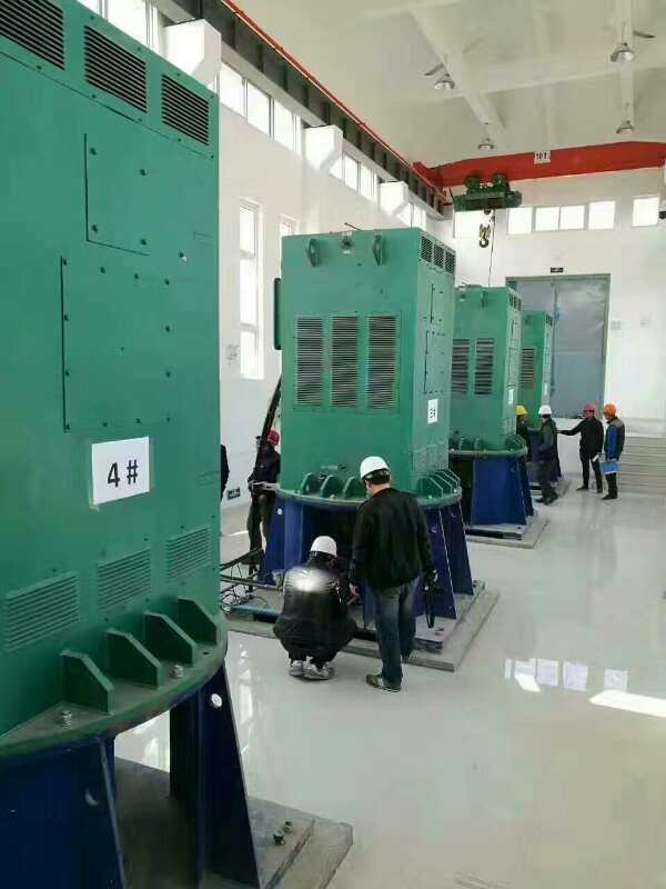 YKK8007-12某污水处理厂使用我厂的立式高压电机安装现场