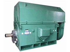 YKK8007-12Y系列6KV高压电机
